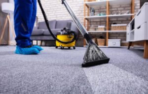 carpet cleaning services